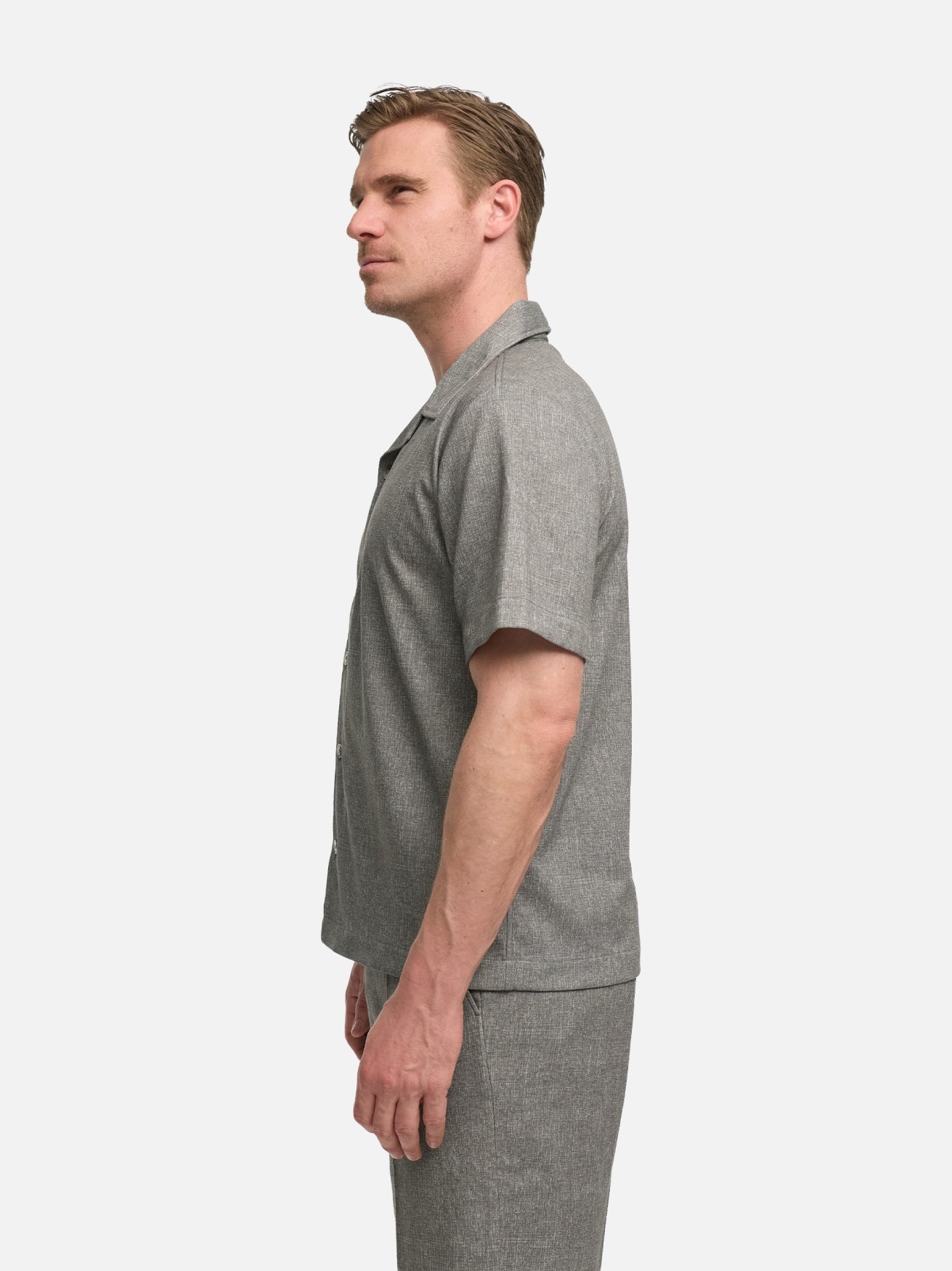 252603-730 DiCarlo Olive | Olive