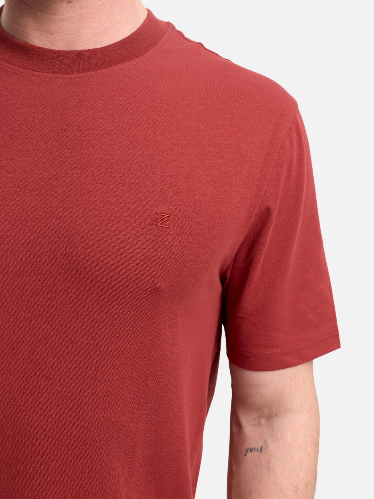 Herren T-Shirt DiFlo in Dk. Red, Detailansicht